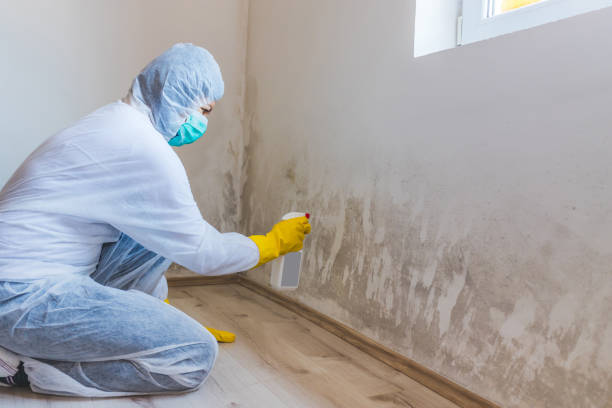 Crawl Space Mold Remediation treatment of floor joists in Reisterstown