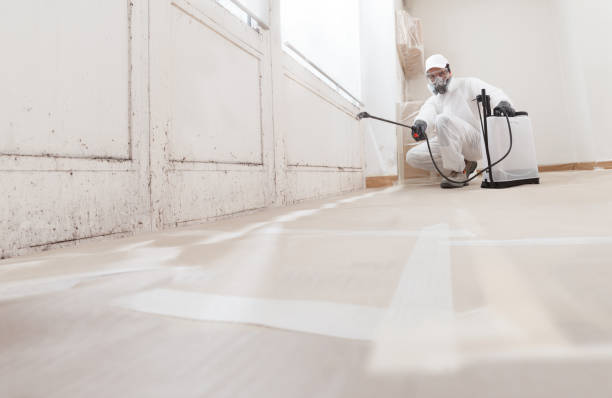 Black mold remediation team in Reisterstown